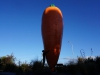 In Ohakune treffen wir auf diese gigantische Karotte. Mangels anderweitiger Sehenswürdigkeiten rühmt man halt das Erntegut Nummer 1 der Region